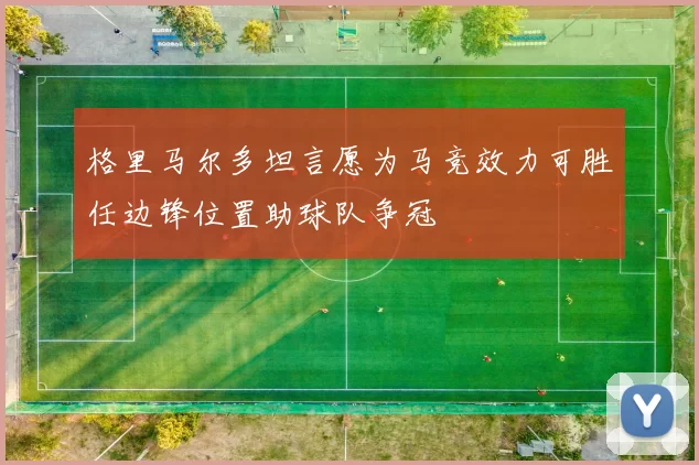 格里马尔多坦言愿为马竞效力可胜任边锋位置助球队争冠