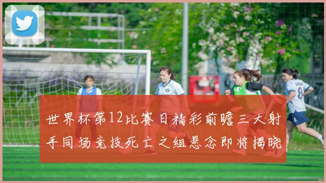 世界杯第12比赛日精彩前瞻三大射手同场竞技死亡之组悬念即将揭晓