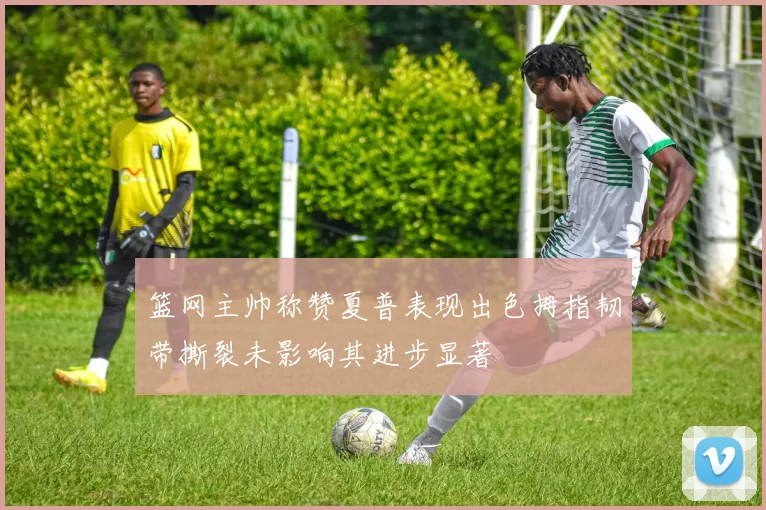 篮网主帅称赞夏普表现出色拇指韧带撕裂未影响其进步显著